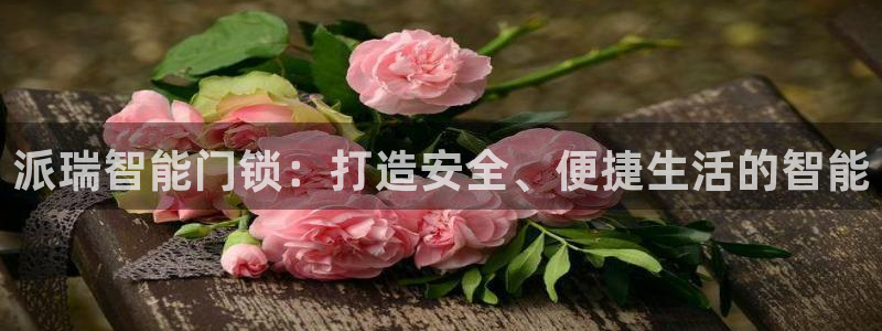 富联娱乐联盟：派瑞智能门锁：打造安全、便捷生活的智能