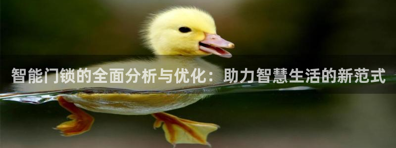 富联娱乐招商置判官333OO：智能门锁的全面分析与优化：助力