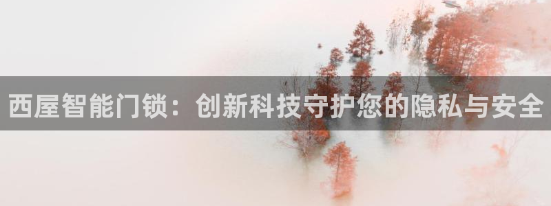 富联娱乐服务站：西屋智能门锁：创新科技守护您的隐私与安全
