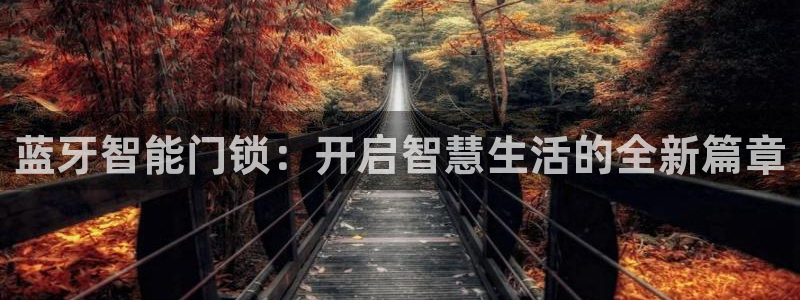 富联娱乐是什么公司的：蓝牙智能门锁：开启智慧生活的全新篇章