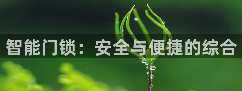 富联娱乐官方网站入口：智能门锁：安全与便捷的综合