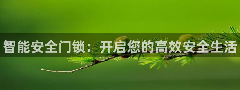 富联娱乐招商经判官333OO：智能安全门锁：开启您的高效安全