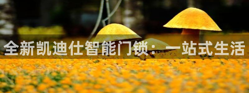 富联娱乐贴吧：全新凯迪仕智能门锁：一站式生活