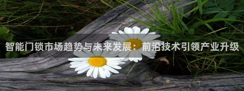 富联娱乐测速怎么样：智能门锁市场趋势与未来发展：前沿技术引领