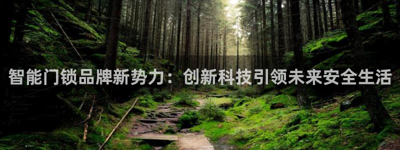富联2娱乐贴吧最新消息：智能门锁品牌新势力：创新科技引领未来