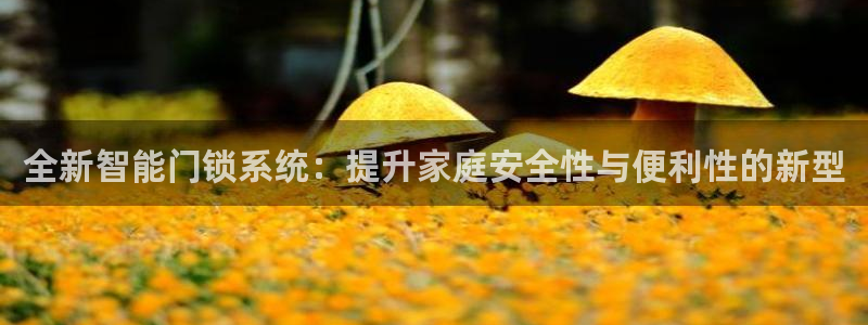 富联娱乐招商后原判官333OO：全新智能门锁系统：提升家庭安