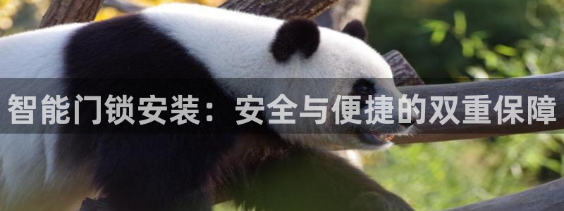 富联娱乐开户条件：智能门锁安装：安全与便捷的双重保障
