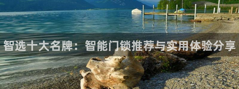 富联娱乐首页网址：智选十大名牌：智能门锁推荐与实用体验分享
