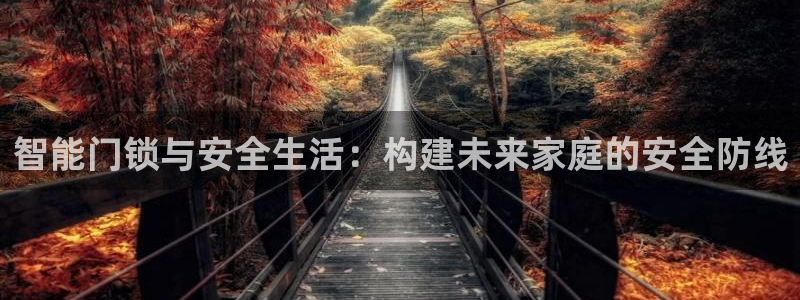 富联娱乐是资金盘吗：智能门锁与安全生活：构建未来家庭的安全防