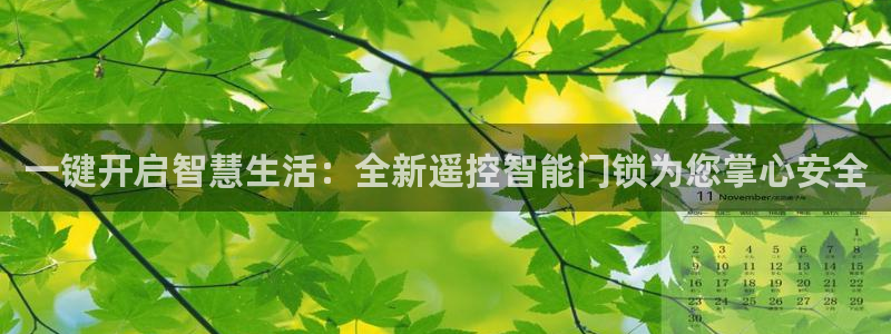 富联娱乐登录链接在哪找：一键开启智慧生活：全新遥控智能门锁为