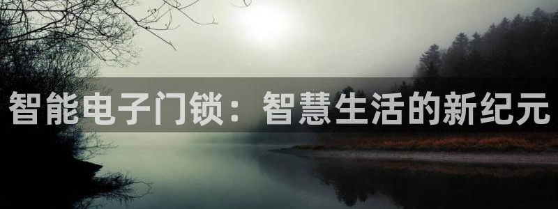 富联娱乐口六七五一38：智能电子门锁：智慧生活的新纪元