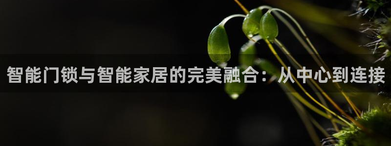 富联娱乐官网首页网址：智能门锁与智能家居的完美融合：从中心到