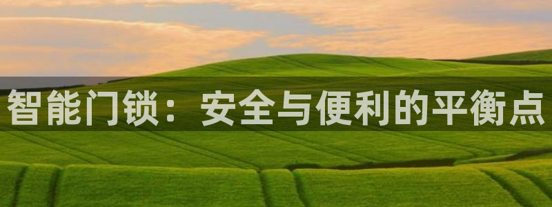 富联娱乐招商电话号码：智能门锁：安全与便利的平衡点