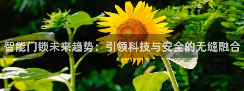 富联娱乐来956k.com靠谱：智能门锁未来趋势：引领科技与