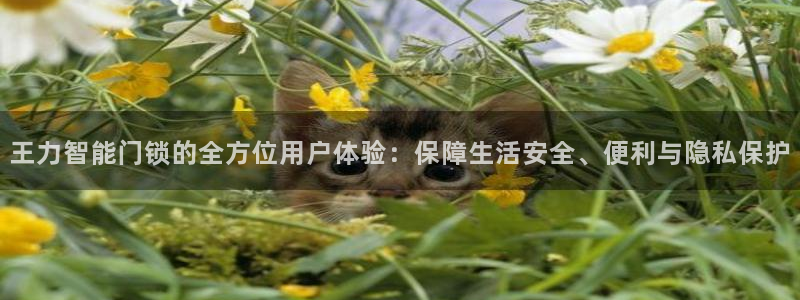 富联娱乐官网登录入口：王力智能门锁的全方位用户体验：保障生活
