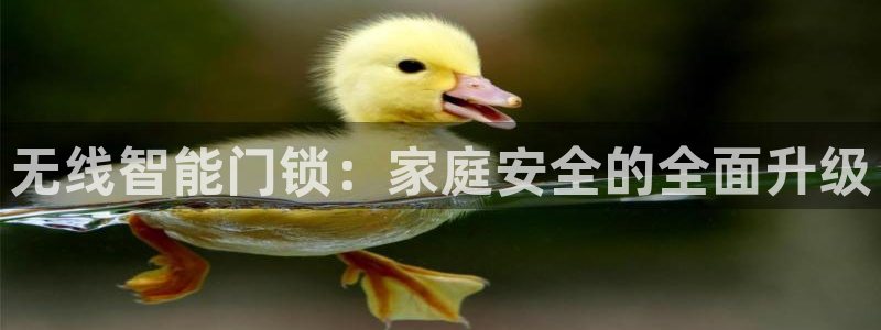 富联娱乐招商天原判官333OO：无线智能门锁：家庭安全的全面