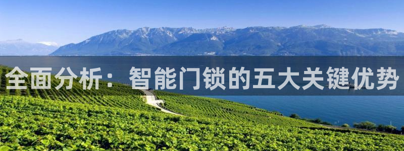 富联娱乐主管那去判官333OO：全面分析：智能门锁的五大关键