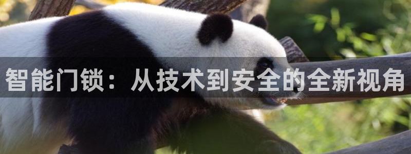 富联娱乐在线网站：智能门锁：从技术到安全的全新视角